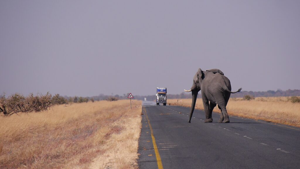 hbieser-botswana-1653101